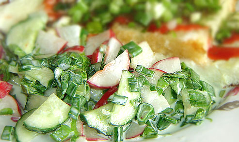 Салат из огурцов и редиски — лето в тарелке